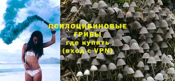 дживик Алексеевка