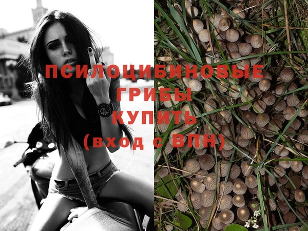 apvp Алексин