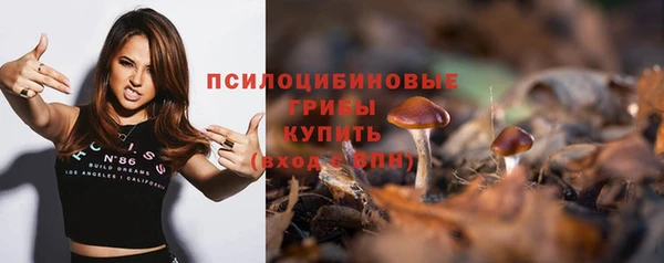 дживик Алексеевка