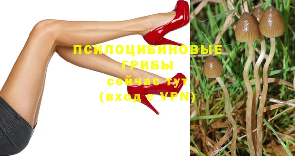 кокс Алзамай