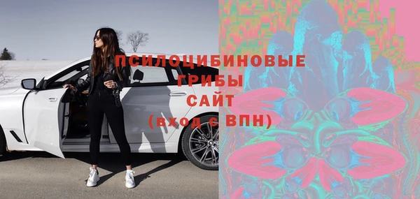apvp Алексин