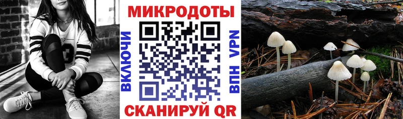 как найти   Махачкала  Псилоцибиновые грибы прущие грибы 
